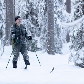 Tuomo Huttu metsästi näätää Suomussalmella marraskuussa.
