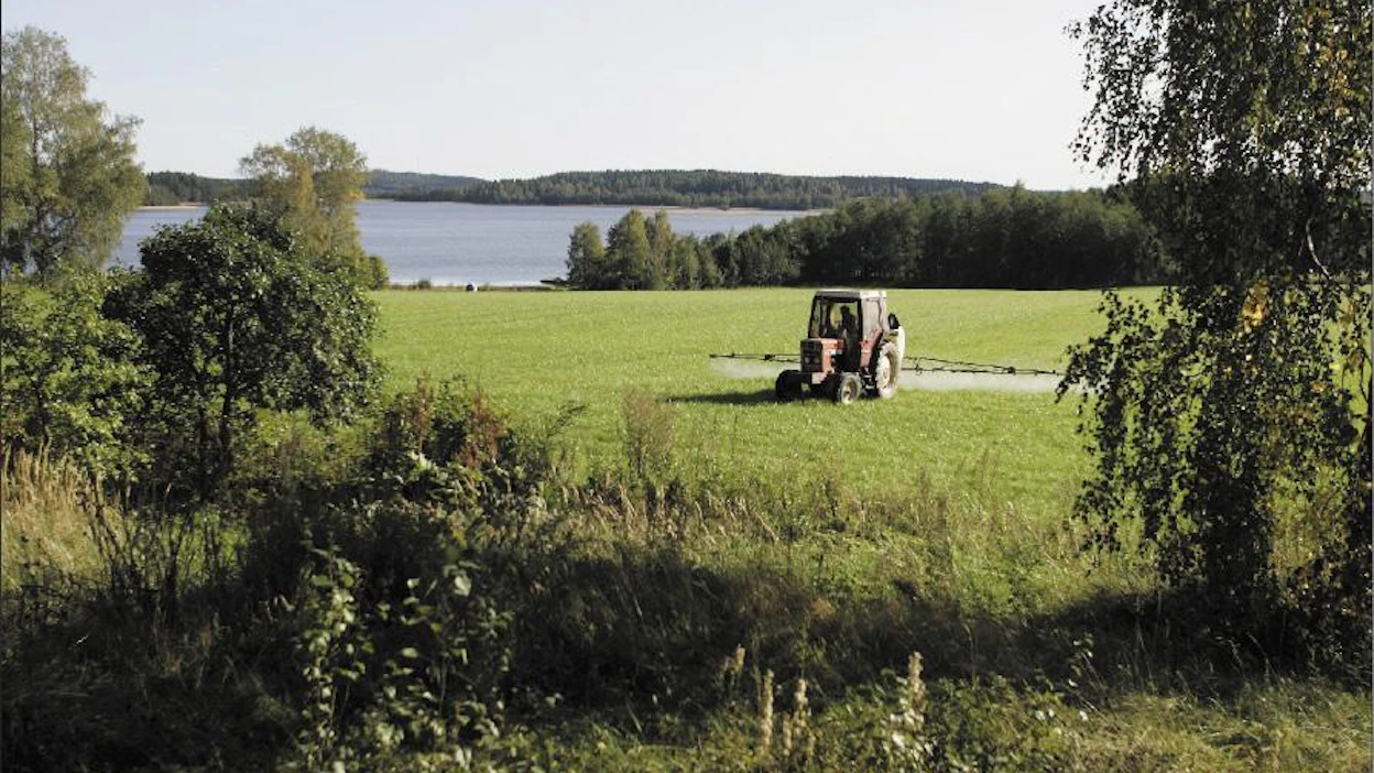 Torjunta-aineiden käyttöä saatetaan rajoittaa pellon reunoilla, millä suojellaan luonnon monimuotoisuutta pientareilla. Joel Rosenberg