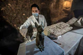 Muinaisessa Egyptissä kissoilla oli erityinen asema ja niiden muumiointi oli yleistä.