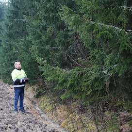 Metsien hoidon ja hyödyntämisen tulevaisuus on epävarmaa valtakunnallisesti arvokkailla maisema-alueilla. Matti Fontellin metsiä sijaitsee Perniön viljelymaisemien alueella.