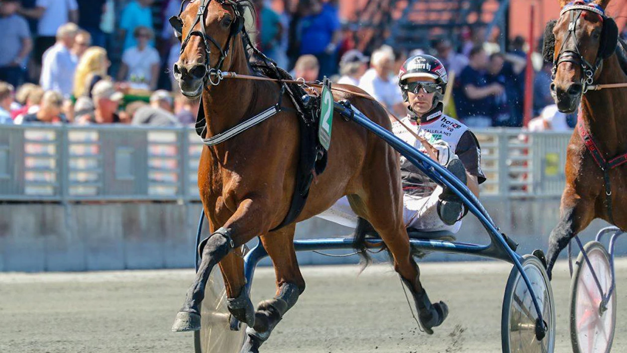 Staro Miami, tässä Solvallassa vakiokuski Mika Forss rattaillaan, oli viime kauden eniten ansainnut suomalaisravuri. Tämän kauden totuuden hetket alkavat olla käsillä.