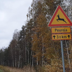 Tämä liikennemerkki varoittaa peuroista kantatiellä 63. Merkki on tieosuudella Evijärvi–Kortesjärvi.