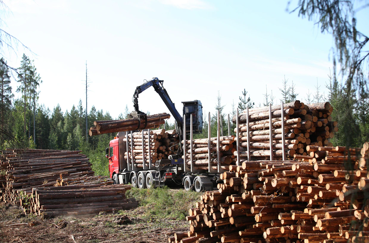Hellekesä kuivatti varastoja. Kuivahtaneesta puusta ylikuormaa ei hevin synny, vaikka kuorma on täysi.