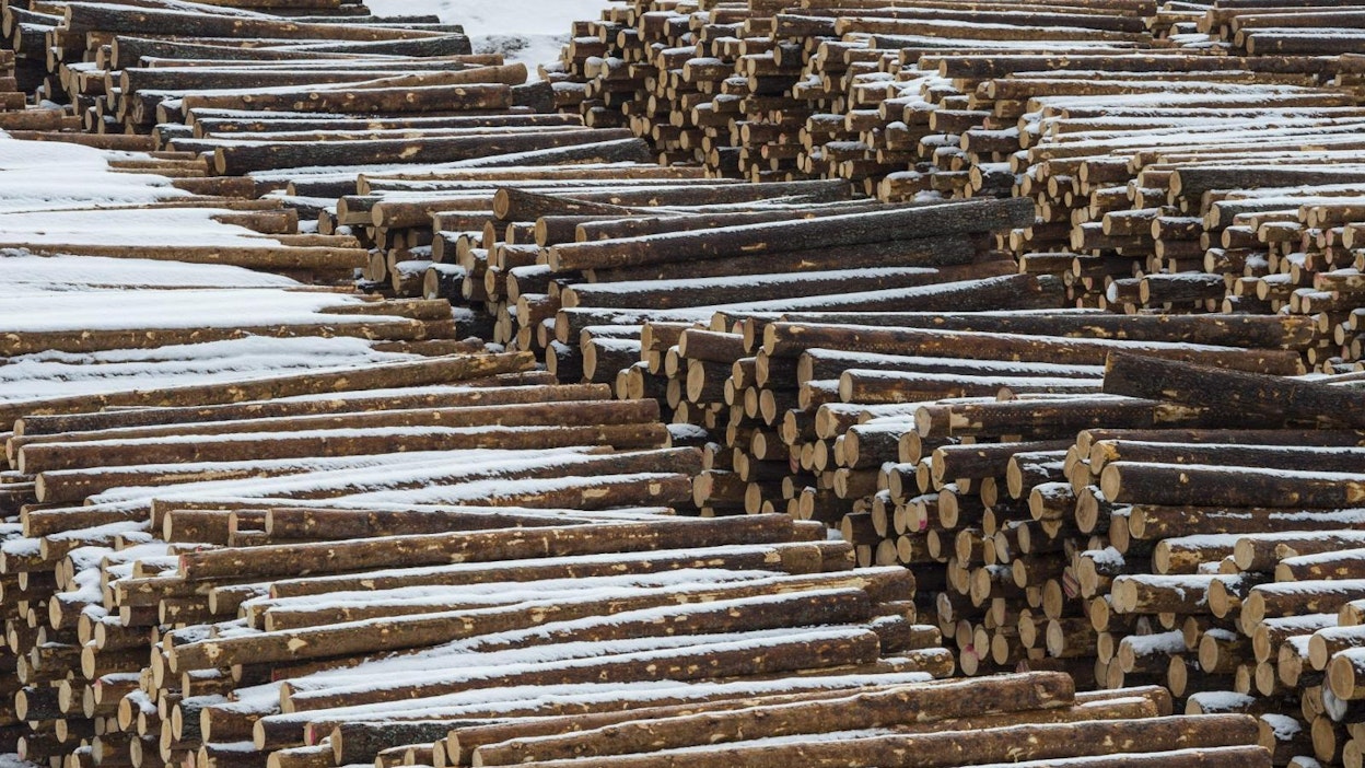 Lakot metsäteollisuudessa alkoivat maanantaina. Tukit odottivat sahalinjalle siirtoa myös talvella 2017.