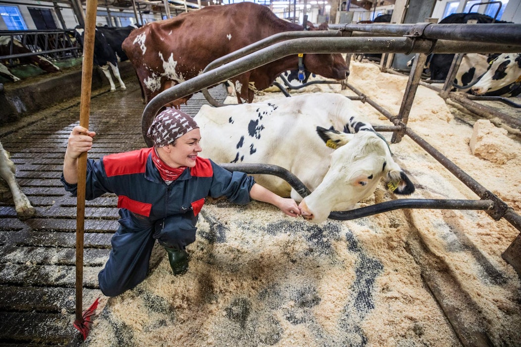 Hannakaisa Heikkinen on keskustan kansanedustaja ja maitotilallinen.