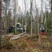 Suomessa, kuten Ruotsissakin, on paljon nuoria harvennusmetsiä. Näiden harvennusten toteuttamiseen on useita menetelmiä, ja Malwa tarjoaa oman vaihtoehtonsa, eli 980-harvesterin.