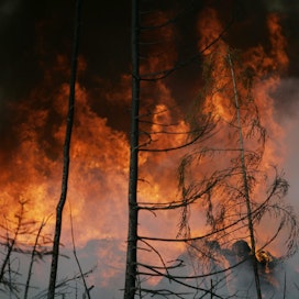 Kuivuus ja kuumuus ovat edesauttaneet palojen syttymistä Portugalissa. Kuvituskuva Suomesta.