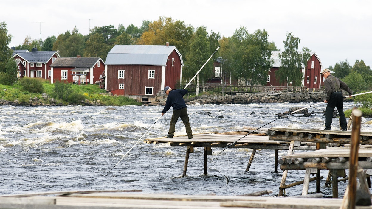 Tornionjoella sijaitseva Kukkolankoski on yksi riitojen kohteena olevista koskitiloista. Kukkolankoskella on harjoitettu siian ja lohen lippokalastusta satoja vuosia.