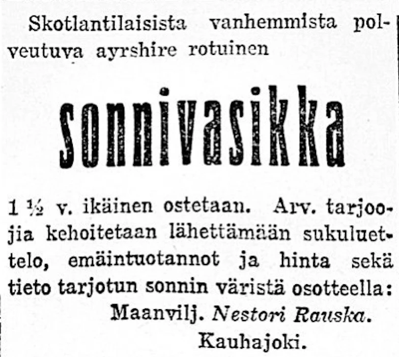 Maaseudun Tulevaisuudessa oli sata vuotta sitten maanviljelijä Nestori Rauskan ilmoitus ayrshire-rotuisen sonnivasikan ostamisesta.