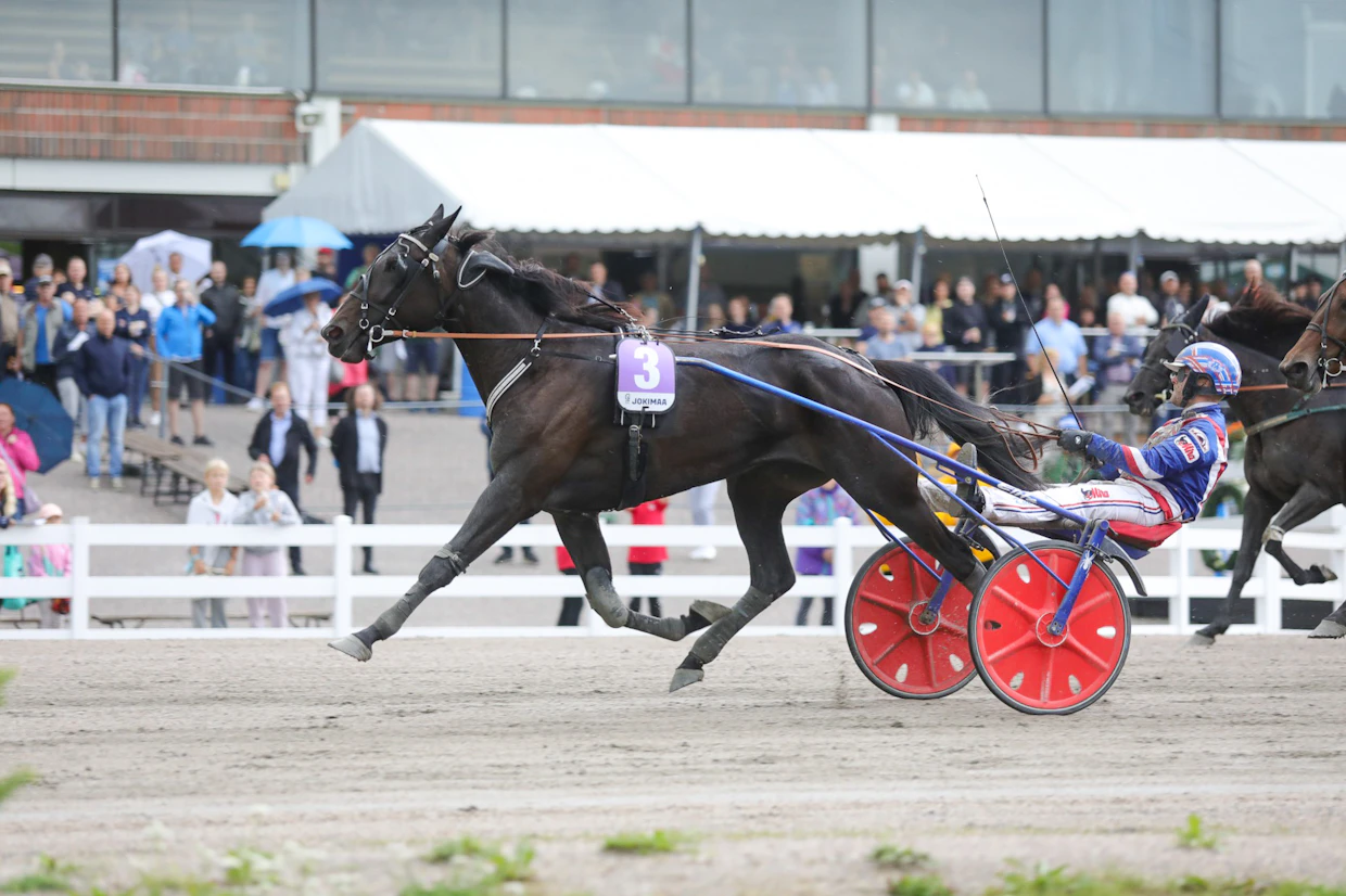 Olli Koivunen oli tyytyväinen Fortunewheel Gardenin alkaneen juoksemaan kuluvalla kaudella kykyjensä edellyttämällä tasolla.