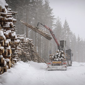 Metsäteollisuus on ostanut alkuvuonna puuta yksityismetsistä 6,4 miljoonaa kuutiometriä, mikä on vähemmän kuin kolmena aiempana vuonna tähän aikaan.