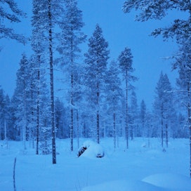 Suomen metsien hiilinielu ei riitä tällä hetkellä paikkaamaan muun maankäytösektorin aiheuttamia päästöjä. Metsät ovat yhä hiilinielu, mutta niiden sitoman hiilen määrä on laskussa muun muassa männyn kasvun hidastumisen takia. 
