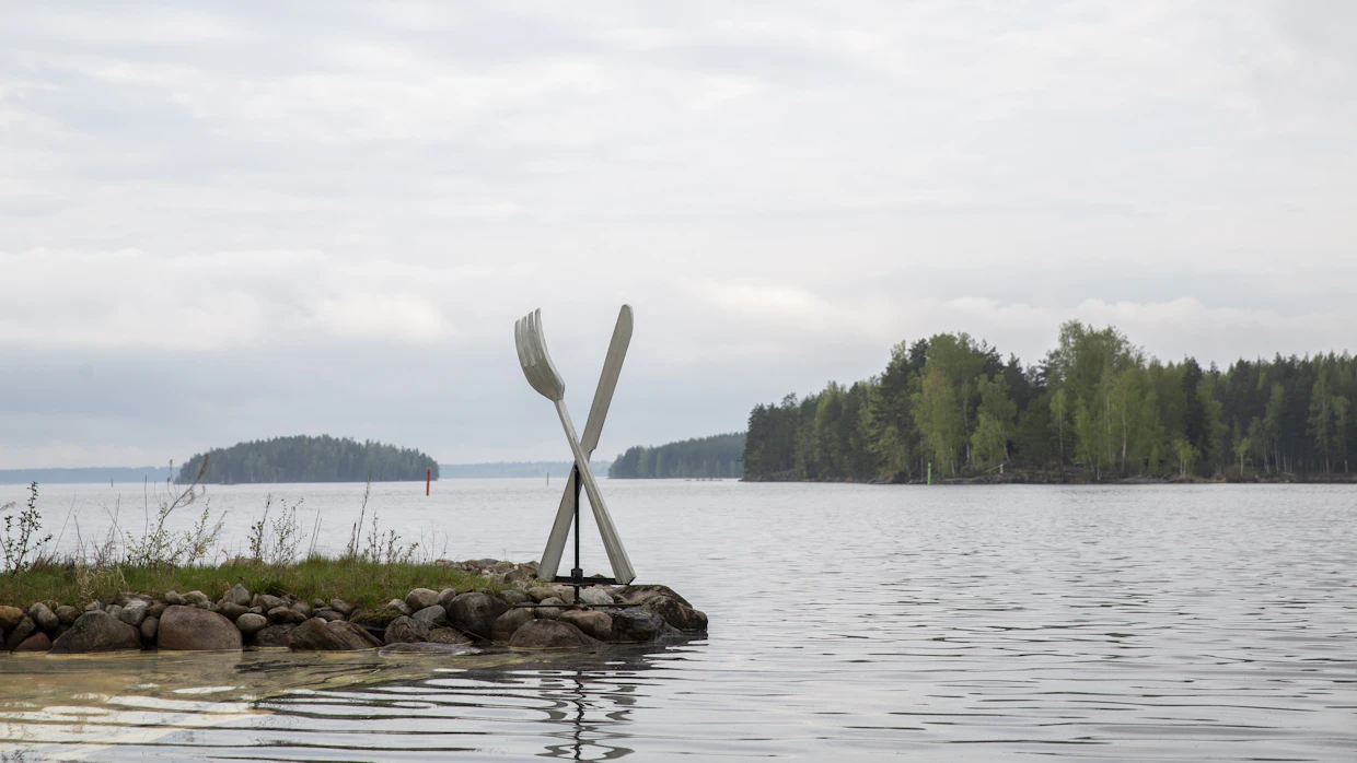 Niinisaari on yksi Saimaan tuhansista saarista. Nykyisin sinne vie Puumalan eteläinen saaristotie.
