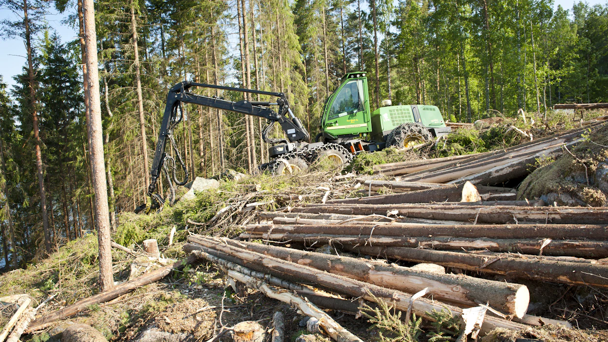 Metsä Groupin kampanja-aikana kuitupuusta maksettavaa hintaa tarkistetaan, jos kaupantekohetken jälkeen hinnat nousevat vuoden 2027 syyskuun loppuun mennessä. Kuvituskuva.