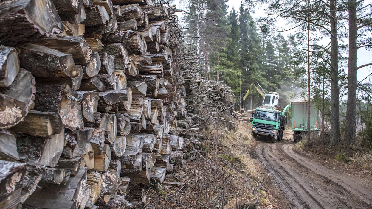 Potentiaalisia energiapuun korjuukohteita voi etsiä metsäkeskuksen karttapalvelusta.