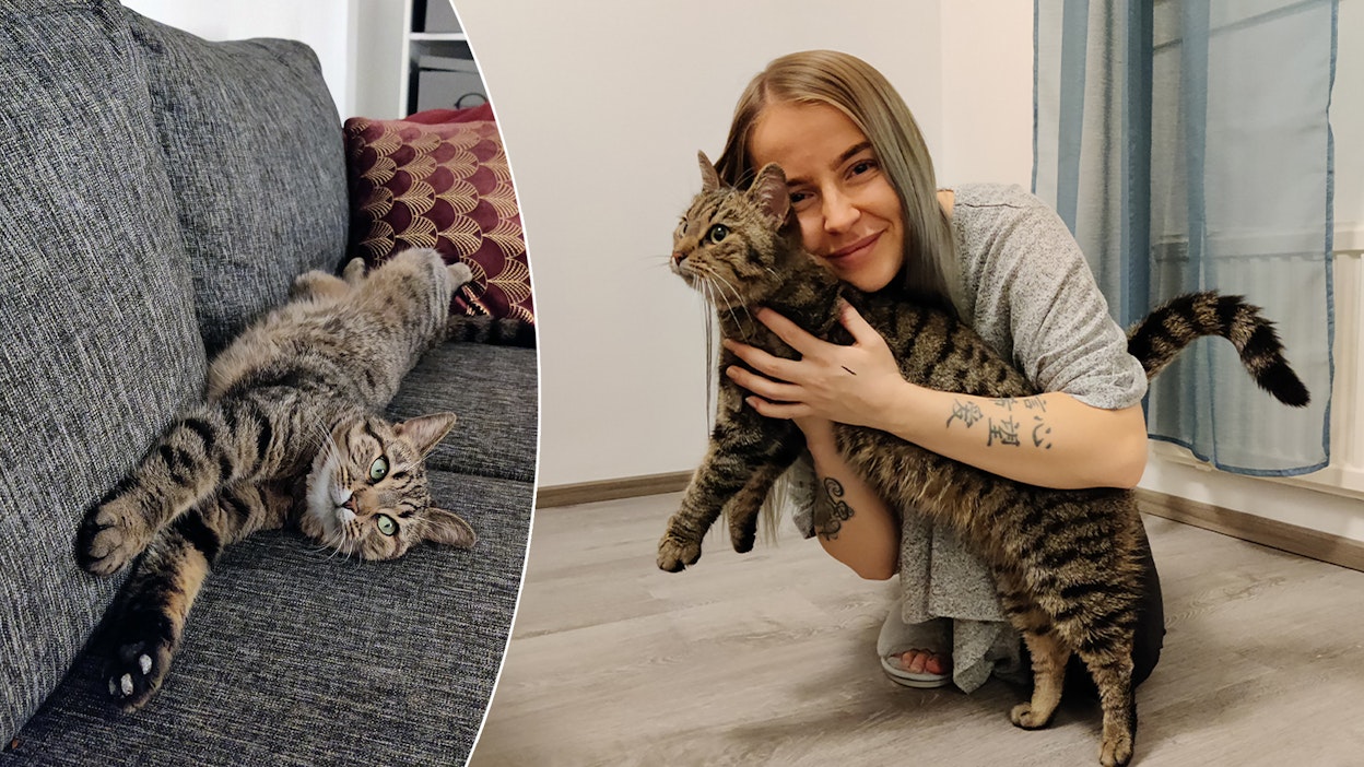 Jos Myy-kissa karkaisi uudestaan, Riia Kurvinen odottaisi rauhallisesti pimeän tuloa ja kysyisi toimintaohjeita heti esimerkiksi Etsijäkoiraliitosta. ”Kissaa ei huutamalla löydä.”
