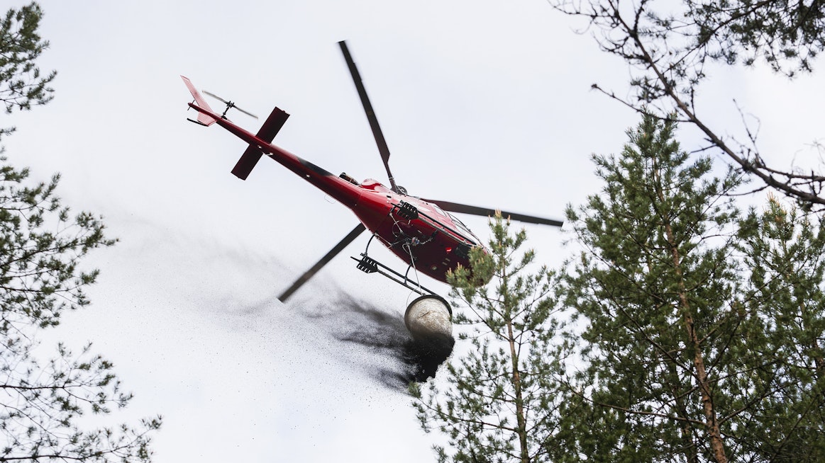 Typpilannoitukset vähenevät tänä vuonna jyrkästi, mutta tuhkaa levitetään metsiin arvioiden mukaan aiempaa enemmän. ForestVital aloitti tuhkan levitykset helikopterilla Kivijärven ja Kinnulan alueella Keski-Suomessa toissa viikolla.