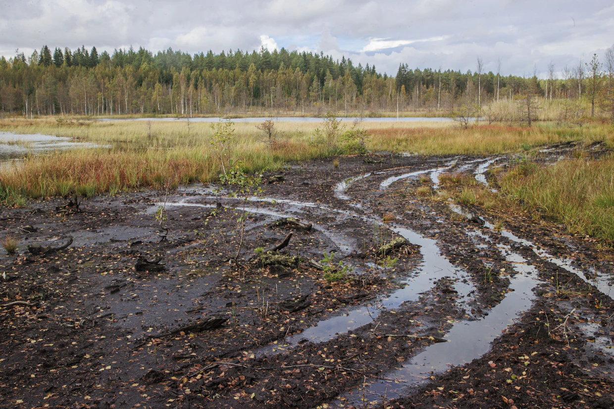 Vesi on noussut entiselle turvetuotantoalueelle Pitkänlahdensuolla Kouvolassa. Esimerkiksi tällaista maastoa voitaisiin itärajalla lisätä.