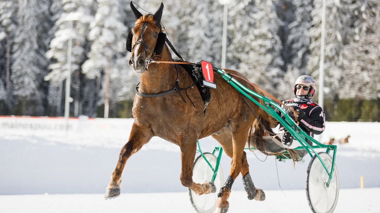 Tuuskanen ja talvikelit ne yhteen soppii. Viileitten kelien spesialisti on tienannut urallaan noin 124 000 euroa.