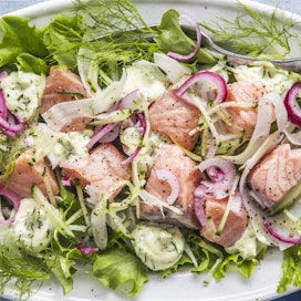 Lohisalaatti ja tillimajoneesi: Ruotsalaisittain etikkaliemessä maustetut lohipalat ovat salaatin ja tillimajoneesin kanssa herkullinen alkupala.