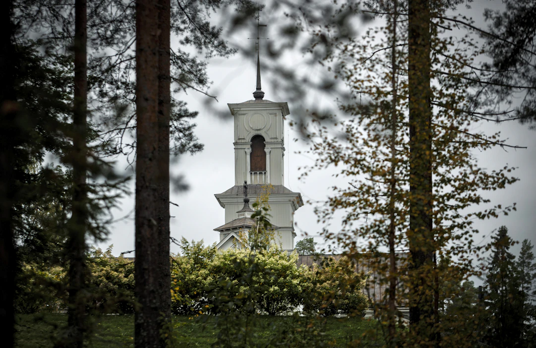 Kirkolla on Ruotsissakin historiallisista syistä paljon metsäomaisuutta. Kuvituskuva.
