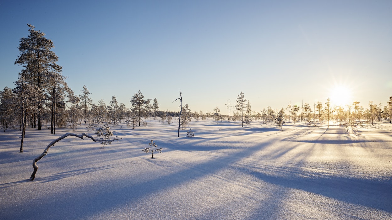 Viikonlopun lumisateiden jälkeen on luvassa selkeää säätä.