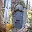 Lepakonpönttö on tehty sahanpurusta ja betonista.