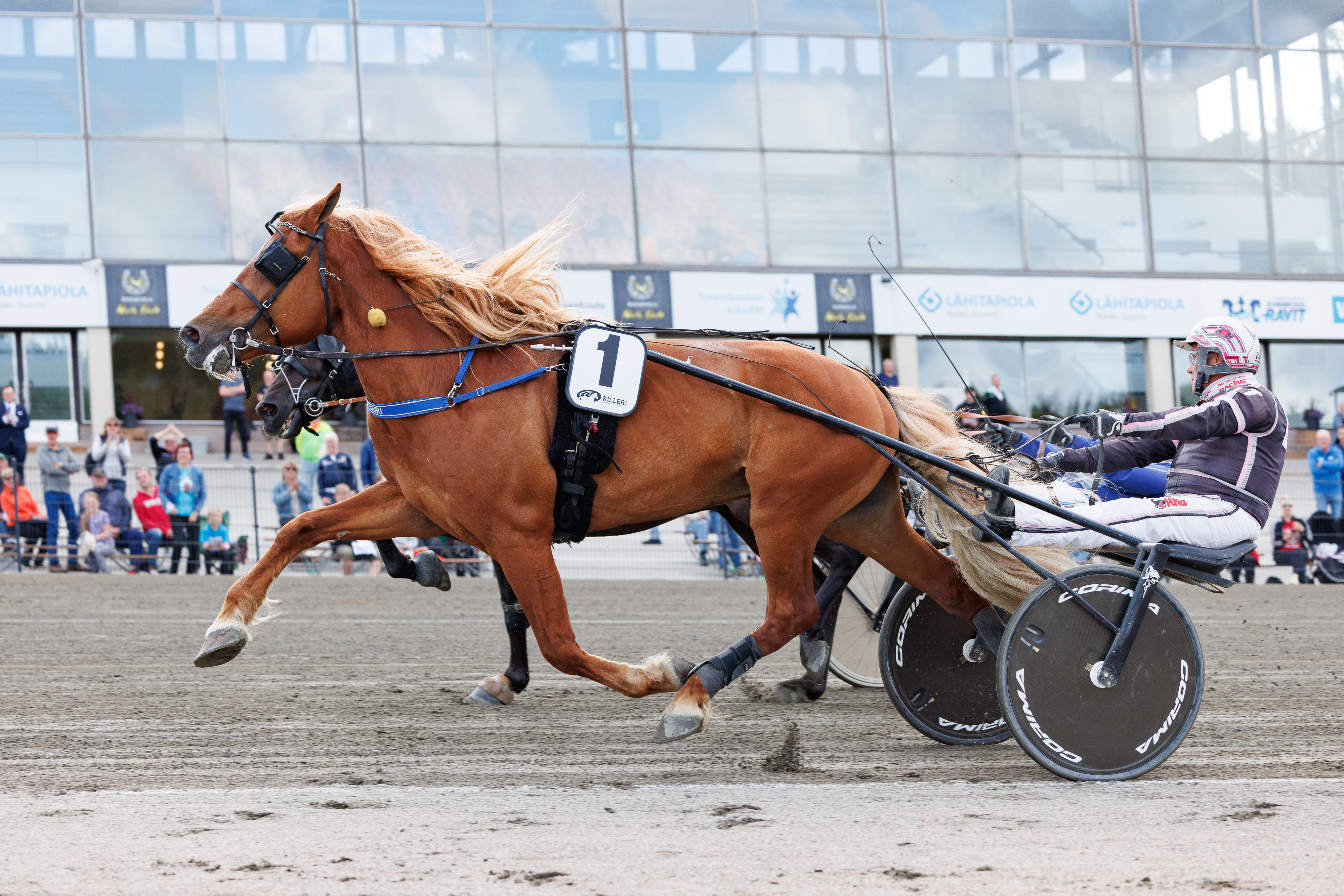 H.V. Tuurin statistiikka 124 startista on 34-26-13. Rahaa ori on juossut 426 375 euroa.