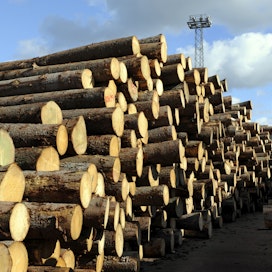 Metsäteollisuus on ostanut puuta yksityismetsisä alkuvuonna 17 prosenttia vähemmän kuin viime vuonna tähän aikaan.