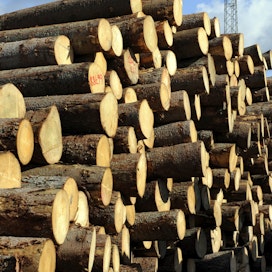 Metsäteollisuuden vientinäkymät olivat syyskuussa surkeat.