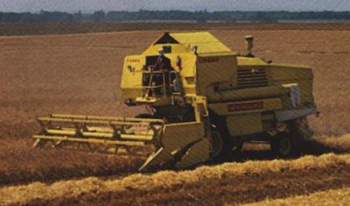 80Clayson8070