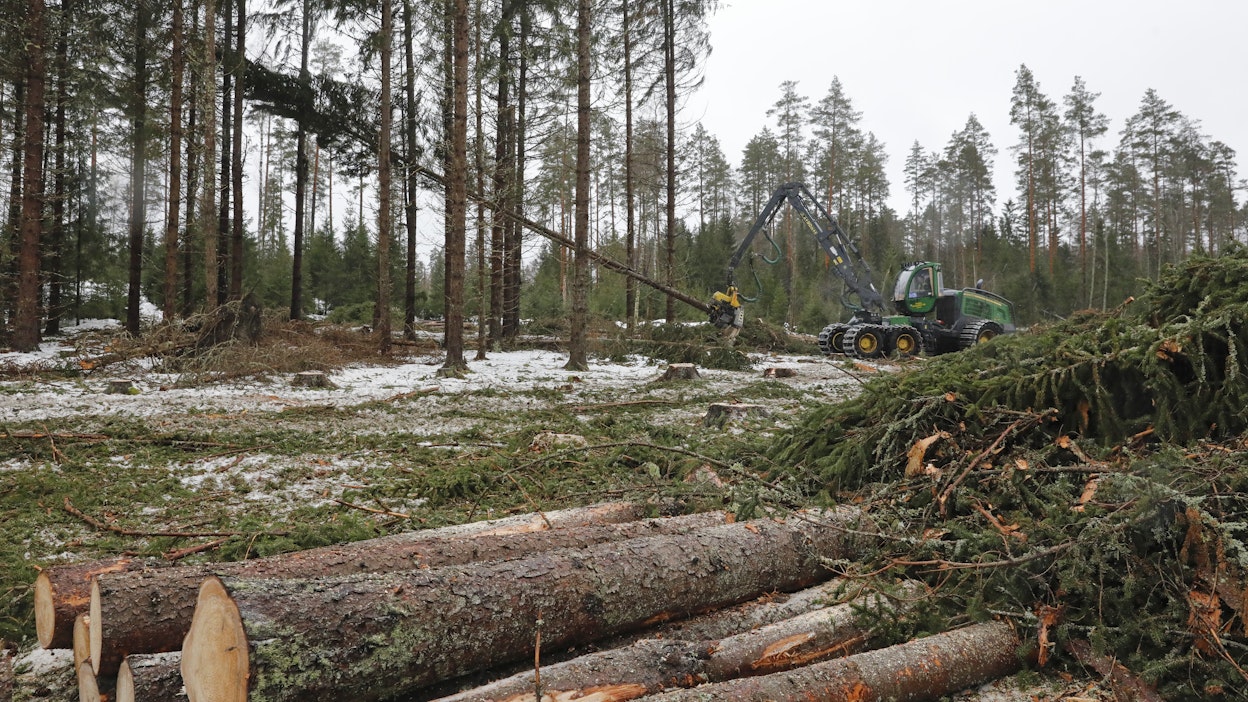 EU:n metsäkatoasetusta ollaan sittenkin lykkäämässä vuodella. Komissiolta vaaditaan myös esitystä pykälien yksinkertaistamisesta.