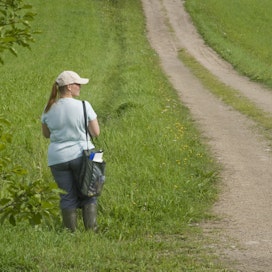 Valvoja työssään. Kuvituskuva.