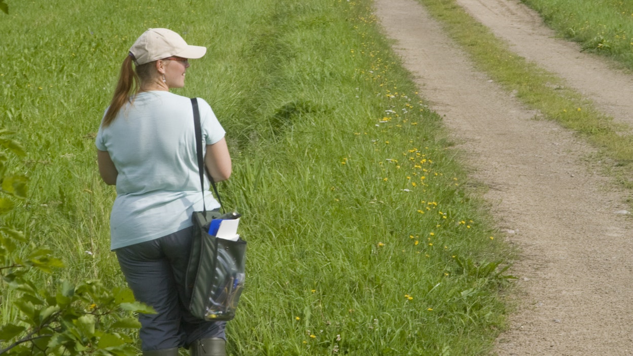 Valvoja työssään. Kuvituskuva.