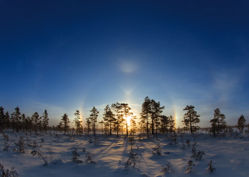 Moilasen kaari on v:n muotoinen kaari auringon yläpuolella. Teuvalla 3. joulukuuta näkyivät myös 22 asteen rengas, auringonpilari, sivuauringot, 22 asteen ylläsivuava kaari, 46 asteen rengas ja yläkupera Parryn kaari.