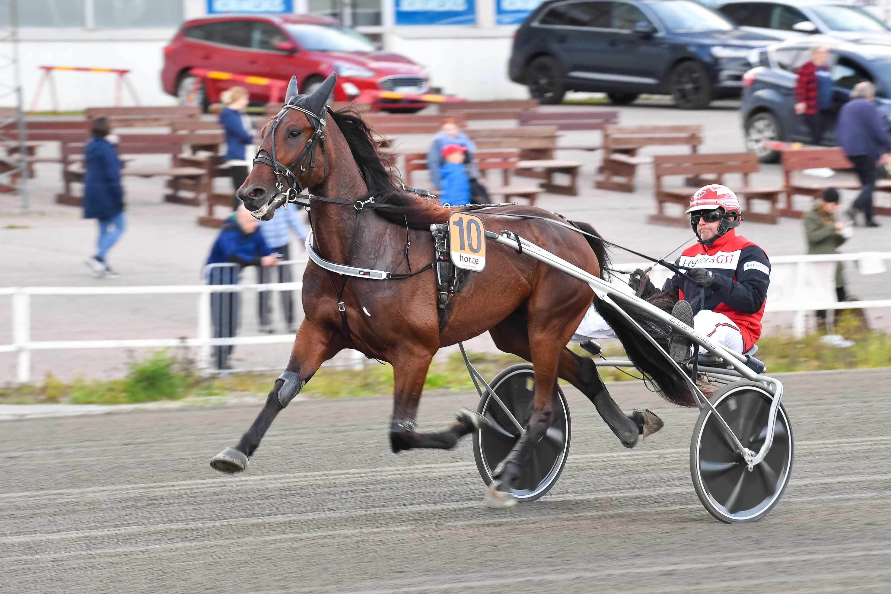 Jari Kinnusen valmentama Shackhills Viking jouduttiin lopettamaan. Arkistokuvassa valjakko vauhdissa Teivossa. 
