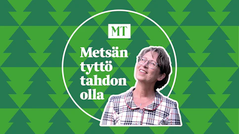Metsässä käyminen antaa hyvää vastapainoa ministerin työlle.