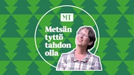 Metsässä käyminen antaa hyvää vastapainoa ministerin työlle.