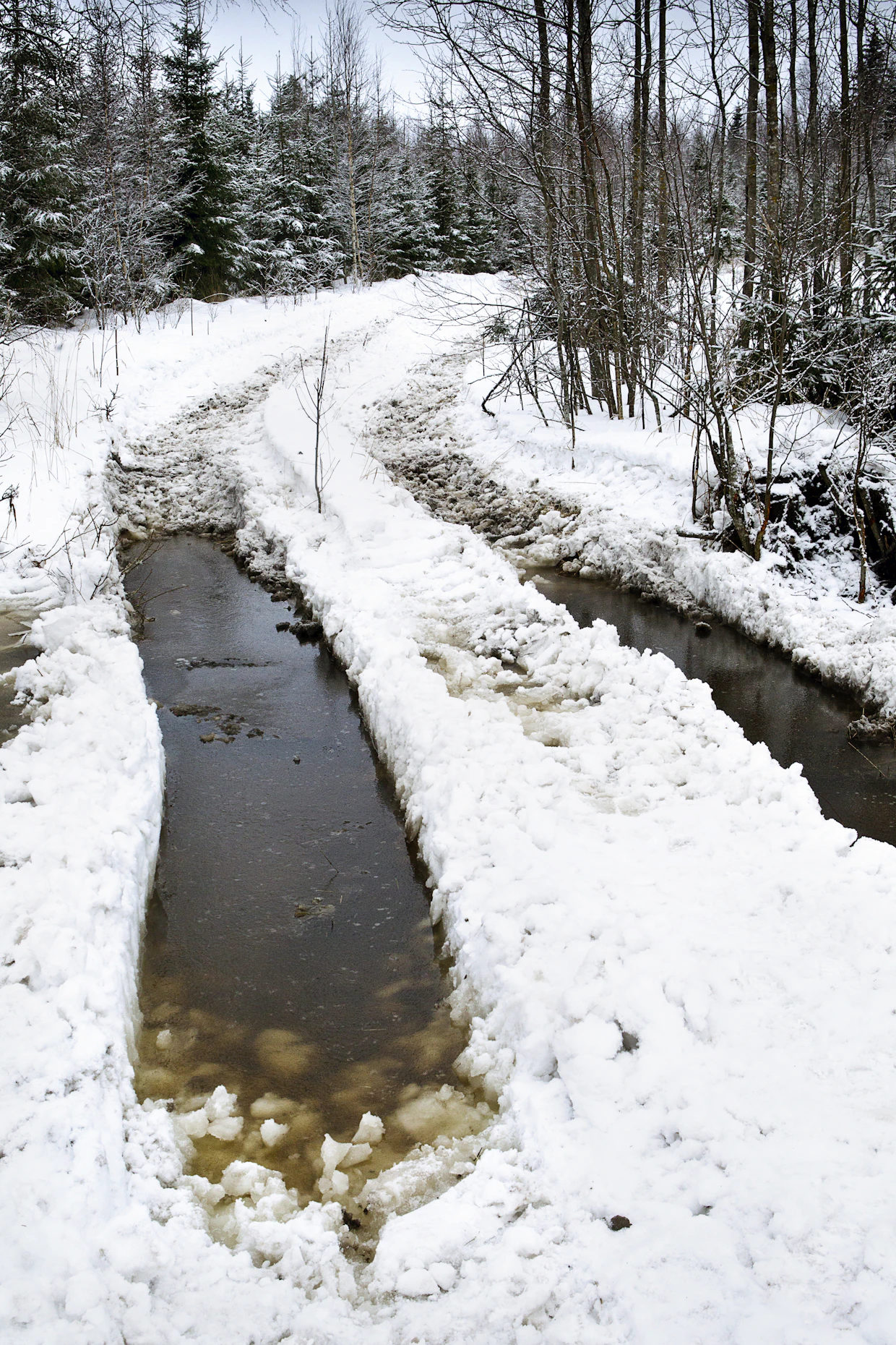Raskas konekalusto jättää roudattomaan, märkään maahan syvät jäljet.