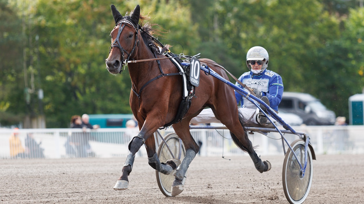 Jarmo Saarela suitsii taas Amazing Playeria kohti menestystä.