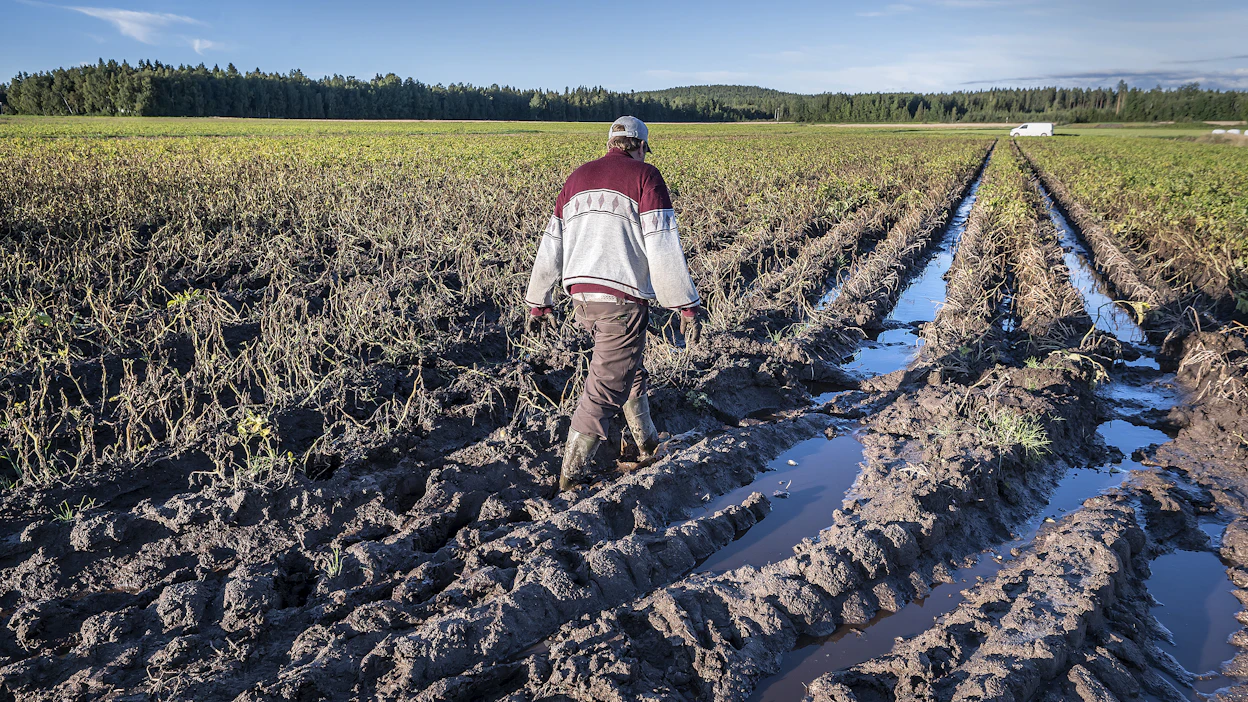 Välitä viljelijästä -projektin työntekijät tarjoavat maatalousyrittäjille maksutonta ja luottamuksellista apua niin jaksamiseen, ihmissuhteisiin kuin maatilan talousongelmiin tai työkykyhaasteisiin liittyen.