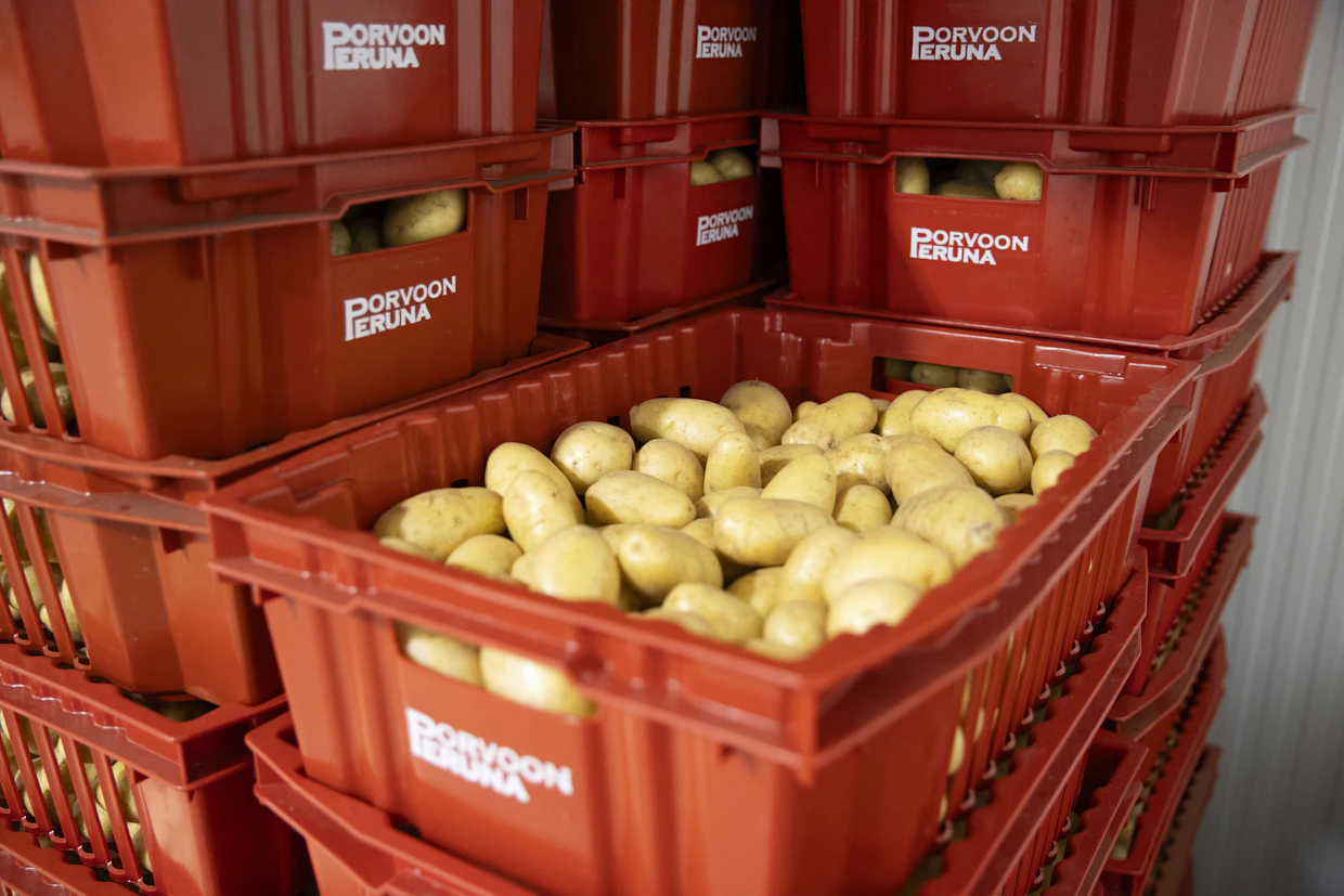 Porvoon Peruna myy perunoita. ”Perunan merkitys on edelleen suht’ iso julkisella sektorilla: kouluissa, sairaaloissa ja päiväkodeissa. Kotitalouksissa pasta ja riisi on vienyt ison osan markkinasta”, sanoo Roger Nyqvist.
