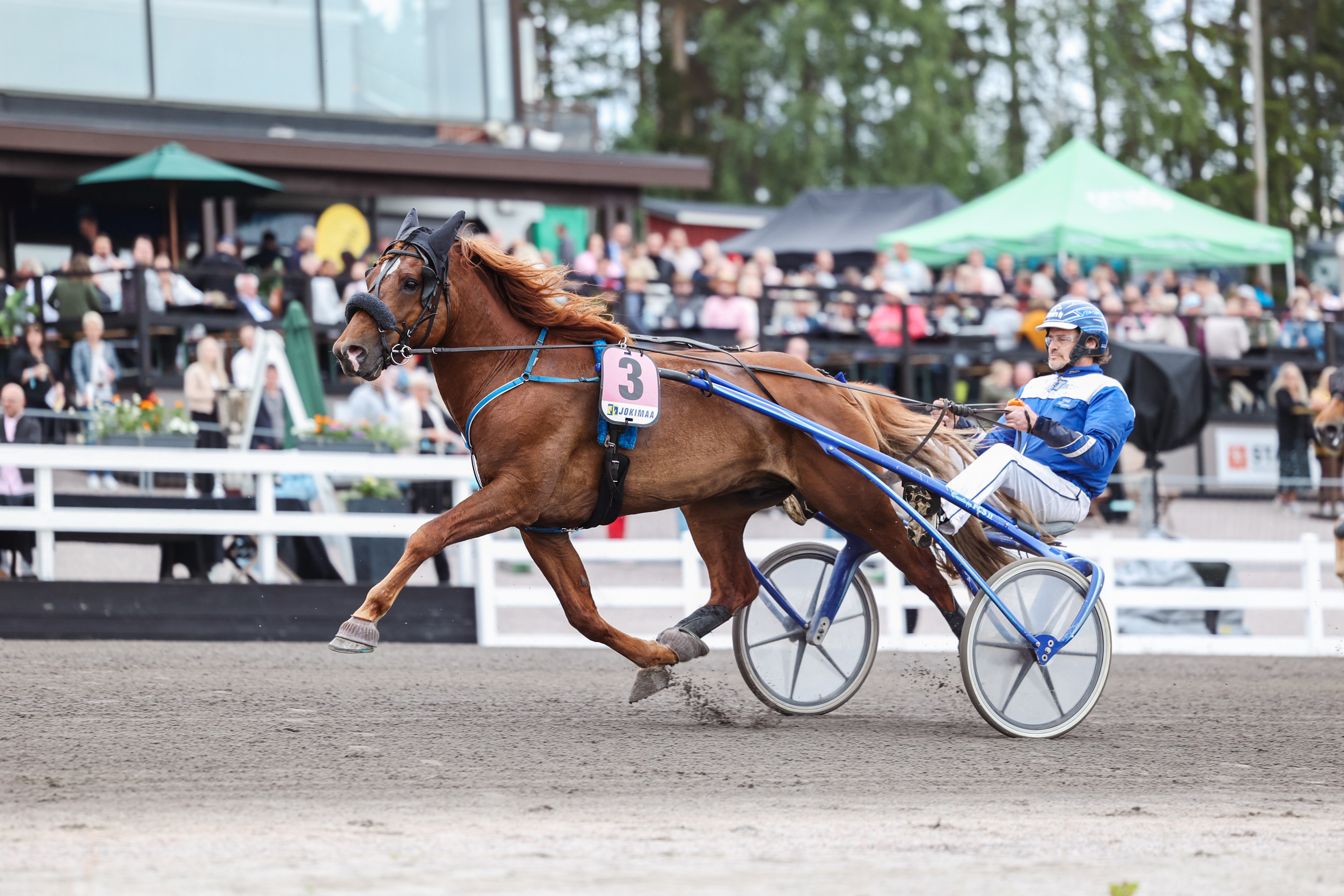 Pyrkimys oli haastajadivisioonan paras.