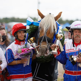 Layla voitti viime vuonna suomenhevosten montén Suomen mestaruuden Seinäjoen kuninkuusravien yhteydessä.