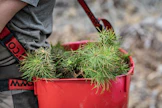 Tapio ja Metsäteho ovat arvioineet, että metsäalalle tarvitaan vuosittain jopa tuhat uutta työntekijää muun muassa eläköitymisten takia.