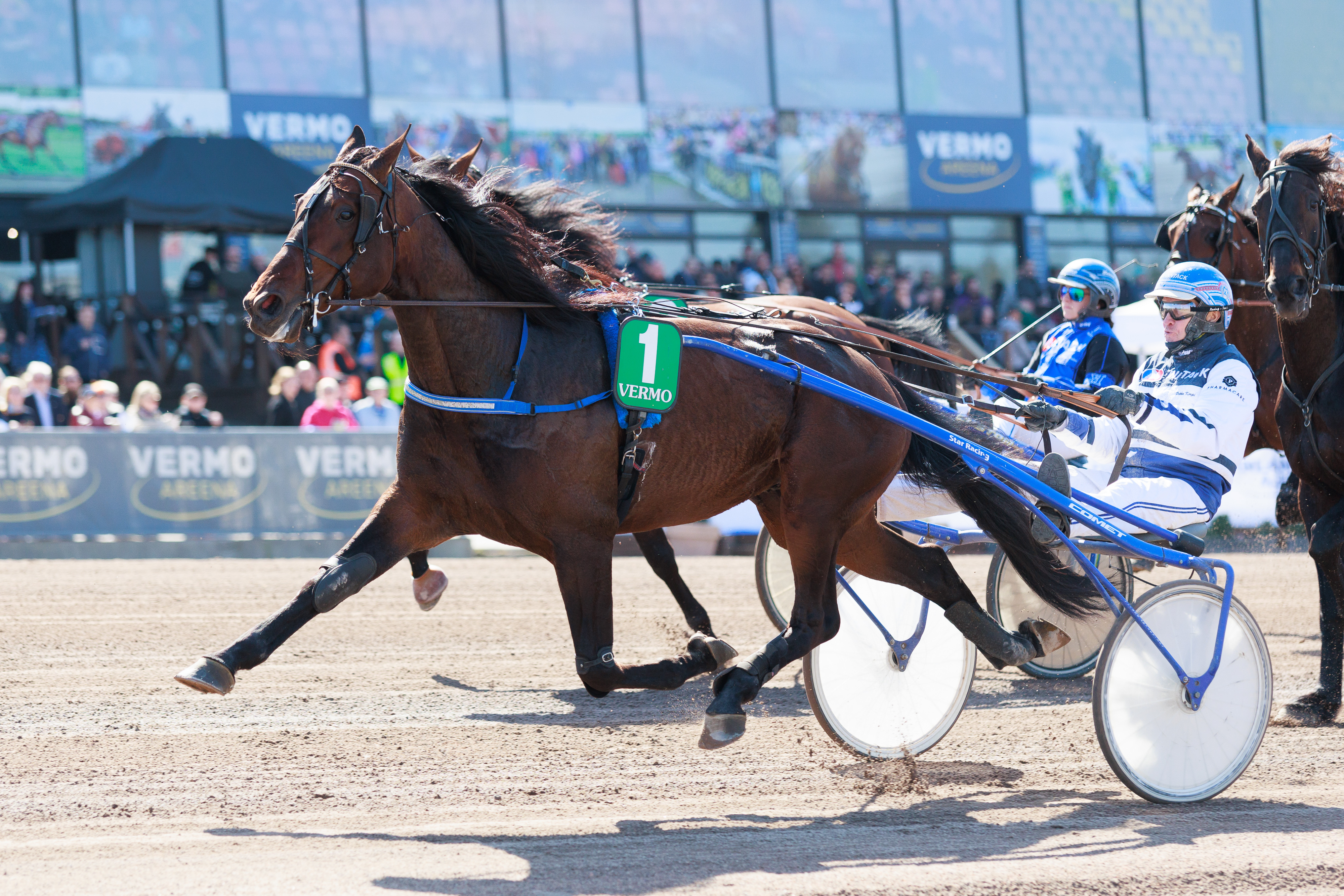 Pekka Korven Dollar Combo on vihjerivin toinen varma.