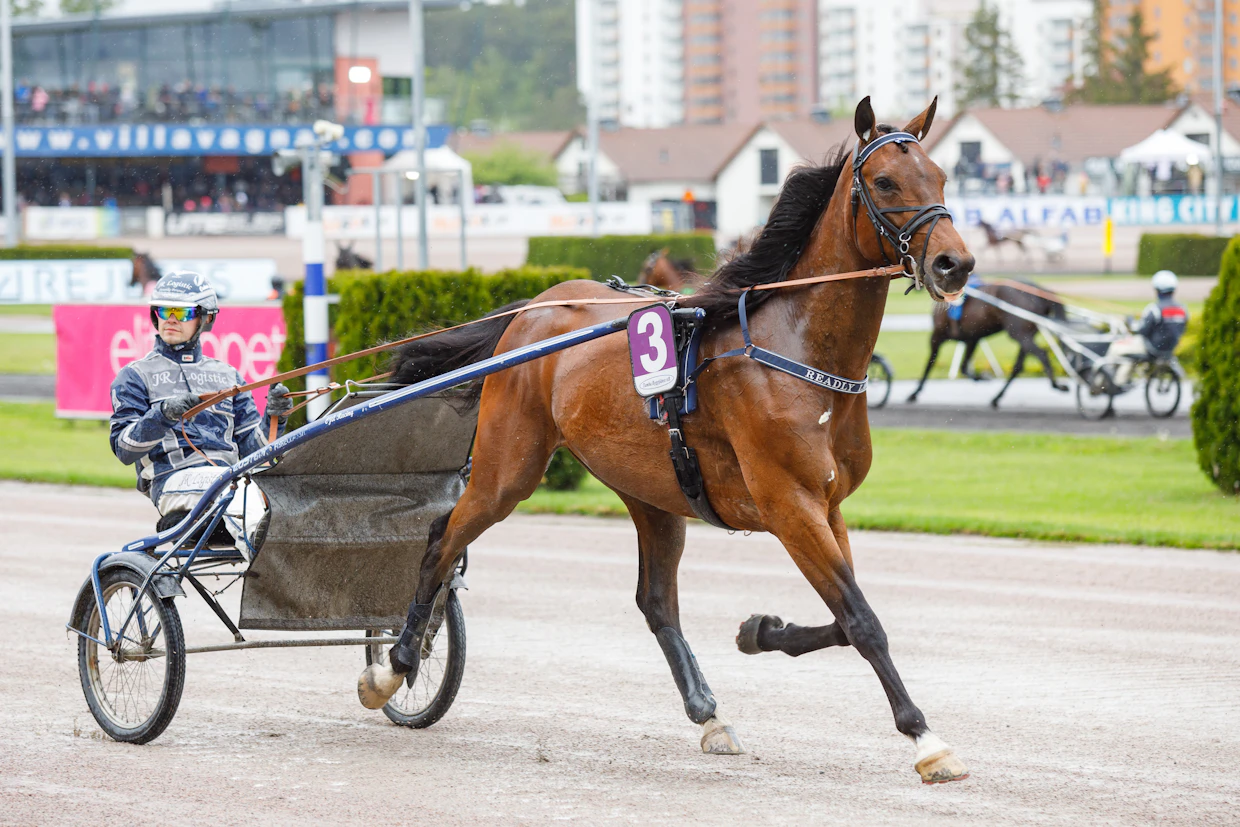 Oskar J Anderssonin ohjastama ja valmentama Readly Lavec sai lähtöradan 7 Seinäjoki Raceen.