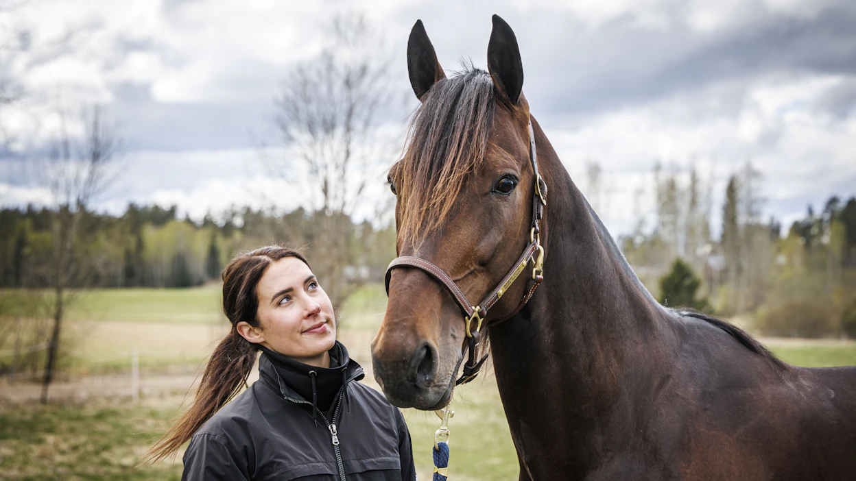 Hanna Lepistö ja Diamond Truppo tavoittelevat lauantaina 400 000 kruunun ykköspalkintoa.
