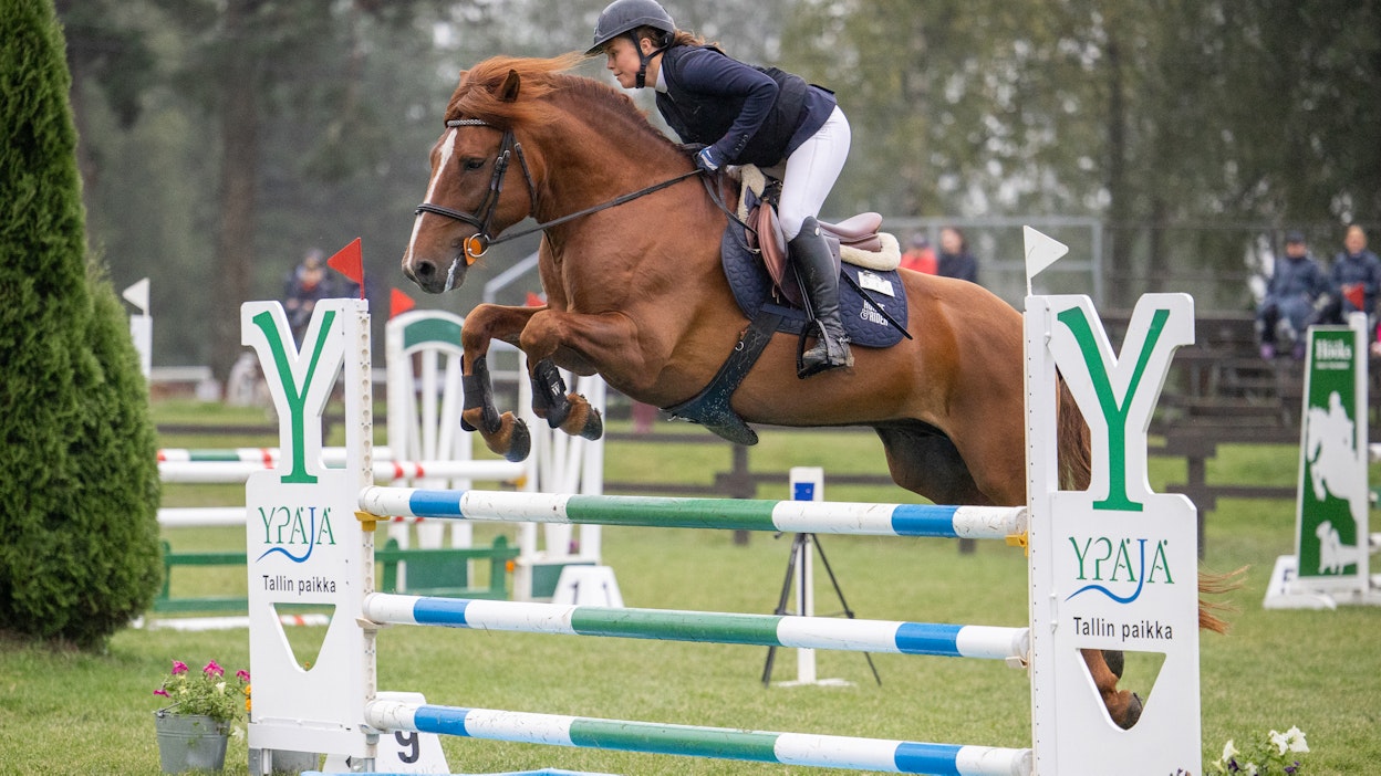 Eduskunta muisti ratsastusta ja suomenhevosia.