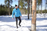 Kirjanpainaja tappoi metsässäni kahdessa kuukaudessa toistakymmentä kuusta. Viivästynyt harvennus taisi olla 60-vuotiaalle kuusikolle liian kova stressitekijä.